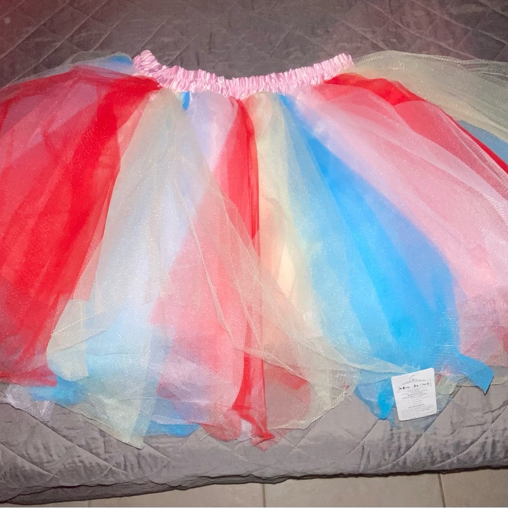 Colorful Tulle Skirt